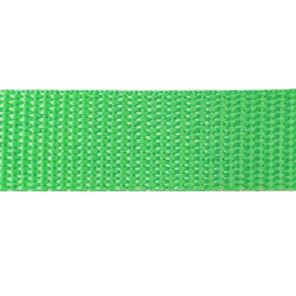 097196
