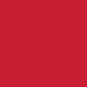 18-1763-TPX