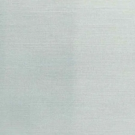 117829