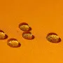 20230523-20230523-IMG_20230523_115512_compressed