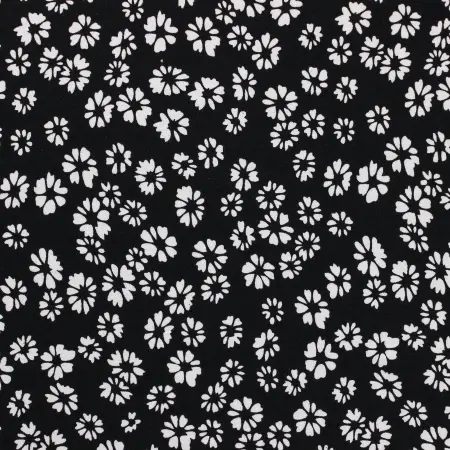 20240627-IMG_8121(1)