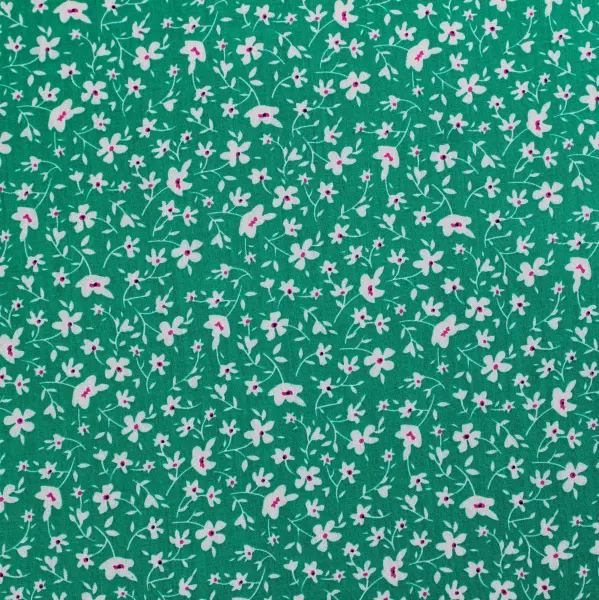 20240603-IMG_7672(1)_compressed