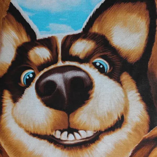 photoeditorsdk-export (1)_compressed