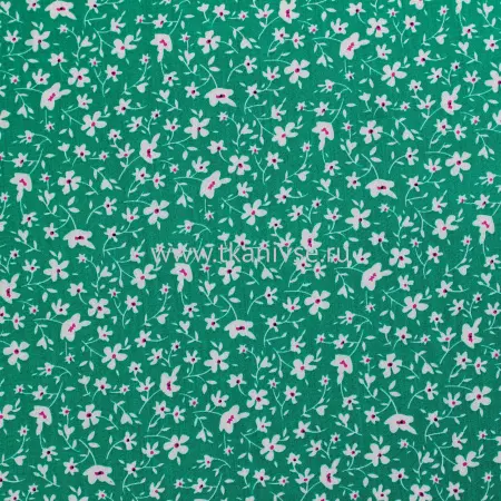 20240603-IMG_7672(1)_compressed