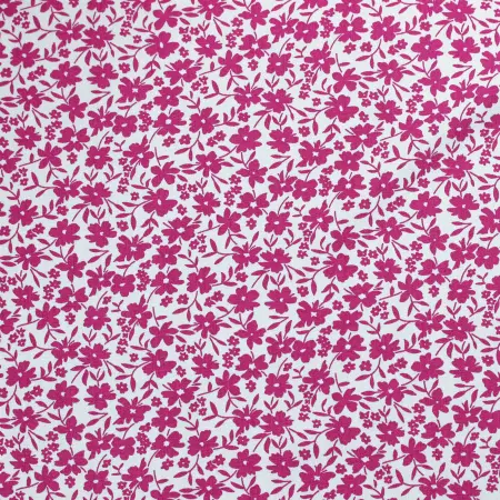 20240611-IMG_7780(1)_compressed