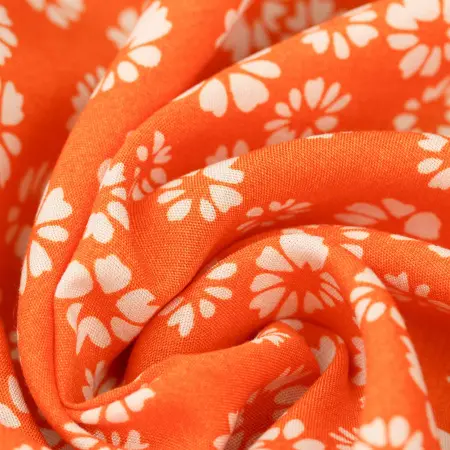 20240627-IMG_8097(1)