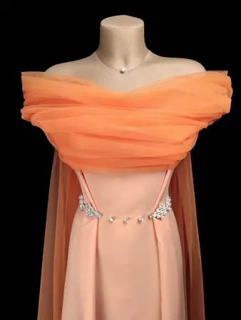 20250124-Photoroom-20250123_230840_compressed