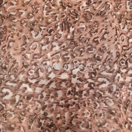 095321