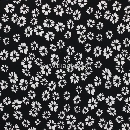 20240627-IMG_8121(1)