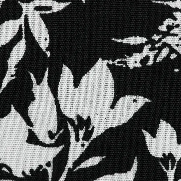 20240415-IMG_6915(1)_compressed