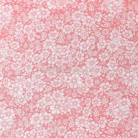 20240408-20240408-IMG_6672(1)_compressed