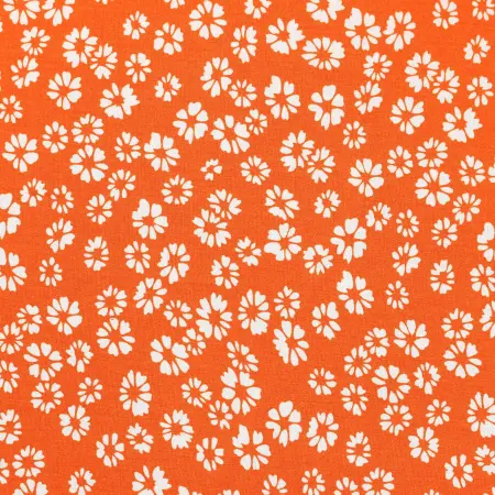 20240627-IMG_8092(1)