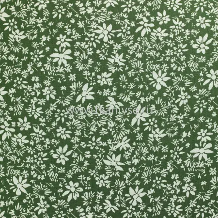 20240619-IMG_7936(1)_compressed