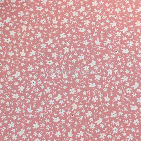 20240603-IMG_7633(1)_compressed