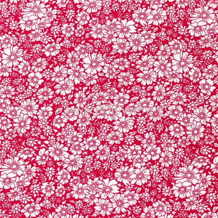 20240408-IMG_6655(1)_compressed