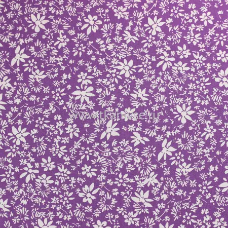 20240619-IMG_7888(1)_compressed