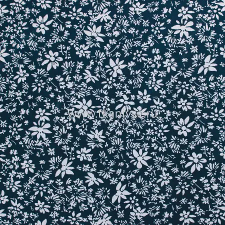 20240619-IMG_7946(1)_compressed