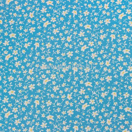 20240603-IMG_7642(1)_compressed