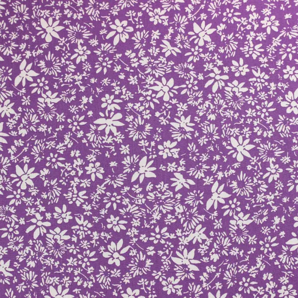 20240619-IMG_7888(1)_compressed