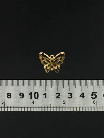221495 (1)