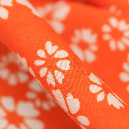 20240627-IMG_8099(1)