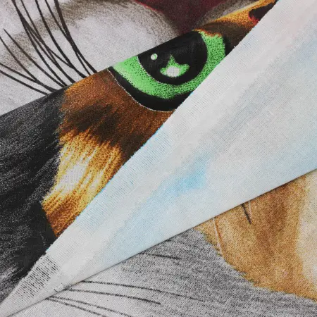 photoeditorsdk-export (3)_compressed