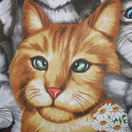 photoeditorsdk-export (12)_compressed