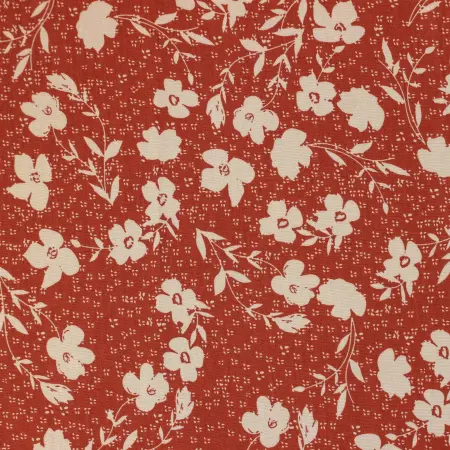 20240516-IMG_7426(1)_compressed