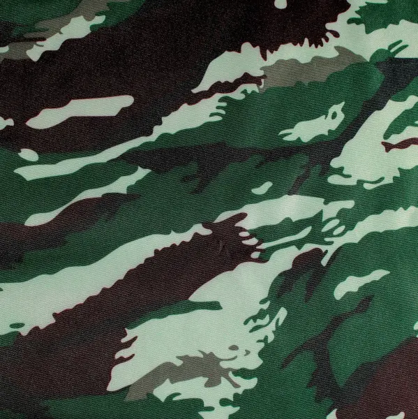 20230615-IMG_1065(1)_compressed