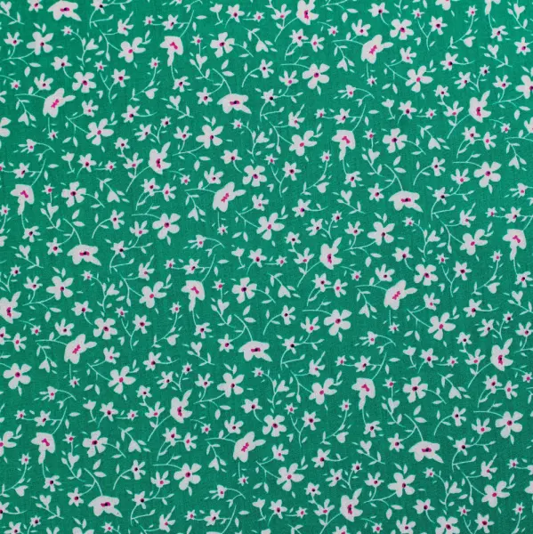 20240603-IMG_7672(1)_compressed