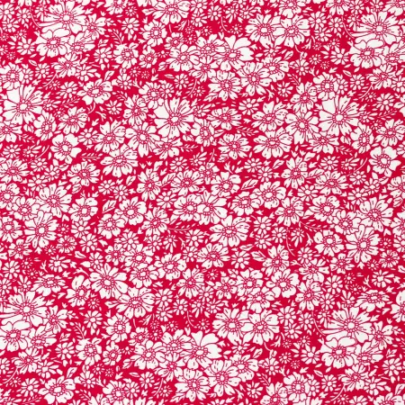 20240408-IMG_6655(1)_compressed