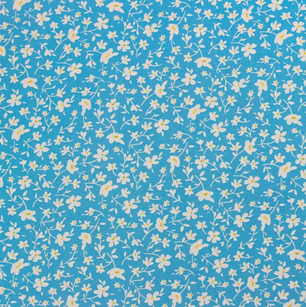 20240603-IMG_7642(1)_compressed