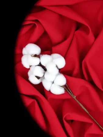 20250212-IMG_0357_compressed