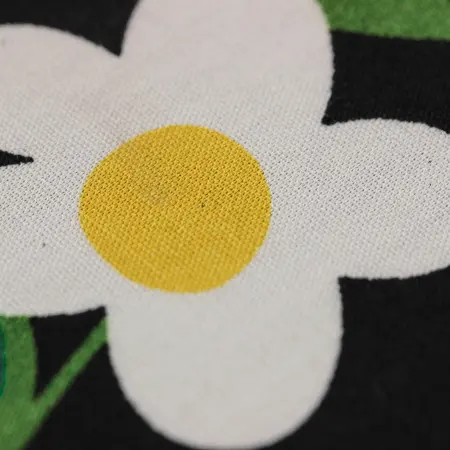 20240606-IMG_7751(1)_compressed