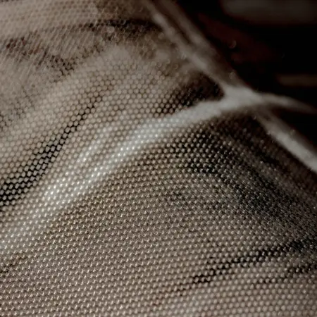 20230615-IMG_0993(1)_compressed