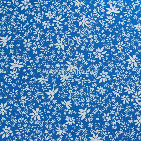 20240619-IMG_7917(1)_compressed