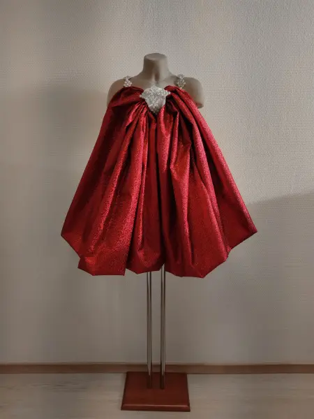 20240129-IMG_20240129_120056_compressed