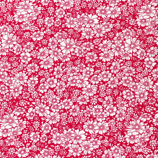 20240408-IMG_6655(1)_compressed