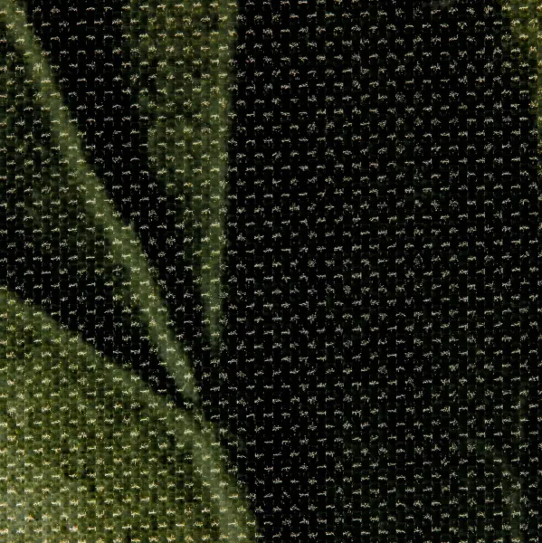 20230615-IMG_0971(1)_compressed