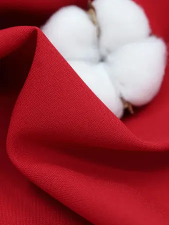 20250212-IMG_0351_compressed