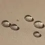 20230523-20230523-IMG_20230523_115512_compressed