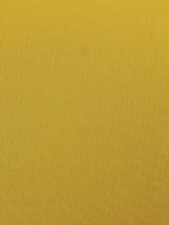 20240906-20240906-IMG_8589(1)