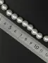 241919 (8)