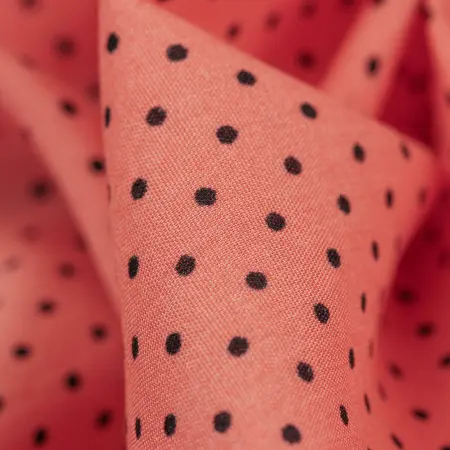 20240624-IMG_8059(1)