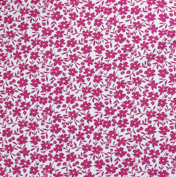 20240611-IMG_7780(1)_compressed