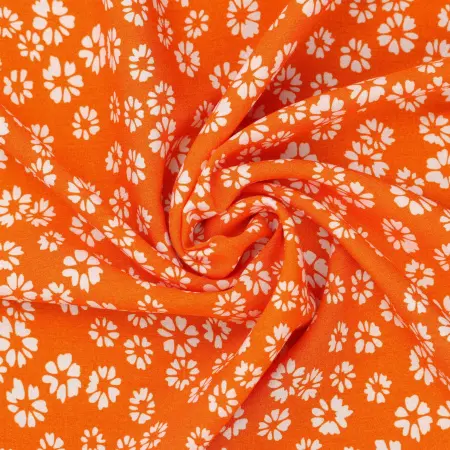 20240627-IMG_8096(1)