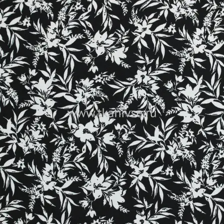 20240415-IMG_6912(1)_compressed