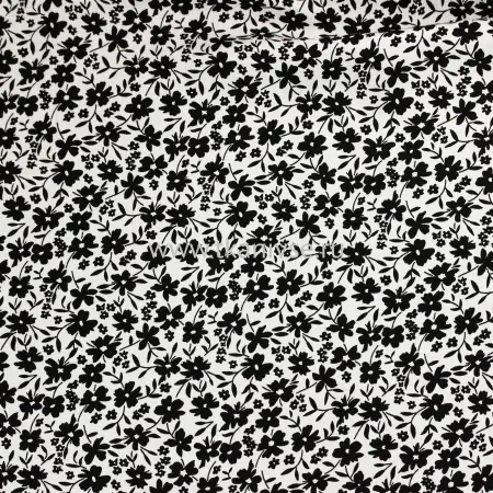 20240611-IMG_7768(1)_compressed