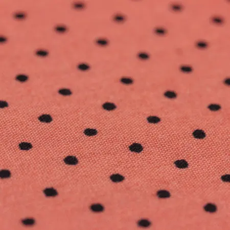 20240624-IMG_8054(1)