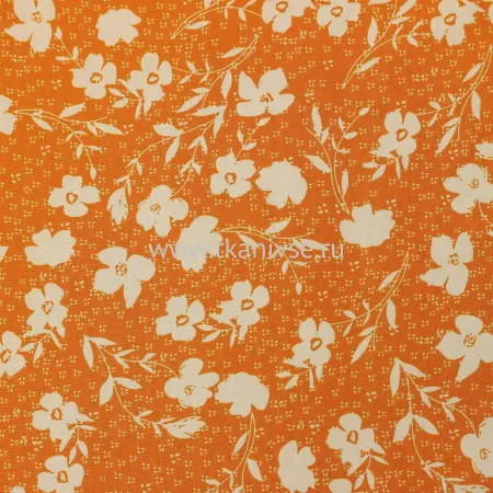 20240516-IMG_7406(1)_compressed